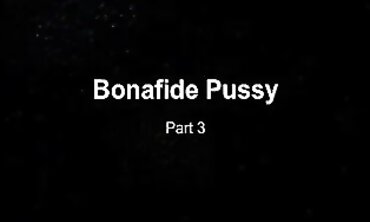 Charlottes Bonafide Compilation: Joy & Toy