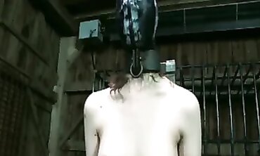 Interrogation