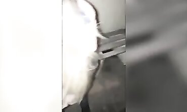 Love Acts Like a Bitch 12