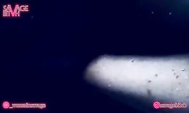 Ebony Squirt Session: Multiple Climax Compilation