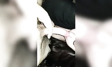 Latina Brunette Girlfriend Gives Perfect Blowjob