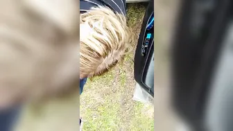 Teen Pick-Up Gone Wild! Older Guy Fucks barely legal Blonde In Public Park