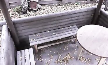 Outdoor Public Pissing Adventure - Secret Camera Captures Dark Haired Beauties