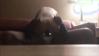 BiRacial Couple Sharing Passionate Sex in Bedroom