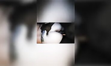 Pregnant Milf Swallows Big Black Dick in POV Creampie
