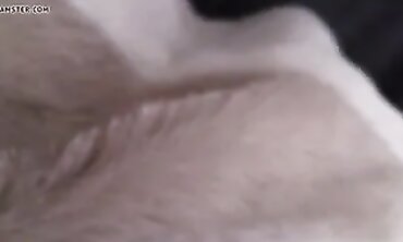 First-Timers Anal Adventure with Hot Couple