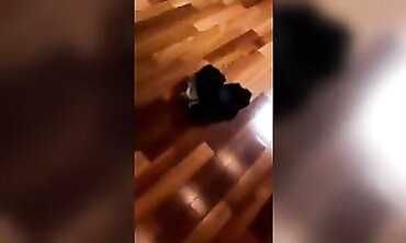 Blonde Girlfriend Takes A Thick Interracial Cock