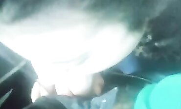 Risky POV Blowjob on the Bus with My Brunette MILF Lover