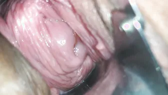 Kittens Dom Opens Up: Demolished Labia Compilation