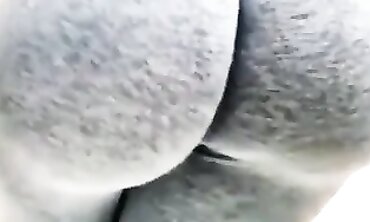 Big Ass Latina Gets Handled Plus Bonus Rump Scene