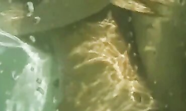 Anita Dark Takes a Hardcore Blowjob in the Pool