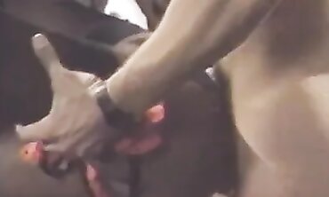 Pioneer Porno Starlet Domonique Simone Romps four Legends Ron Jeremy Ends it