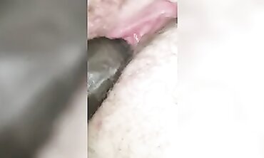 Plus-size backseat fling part trio