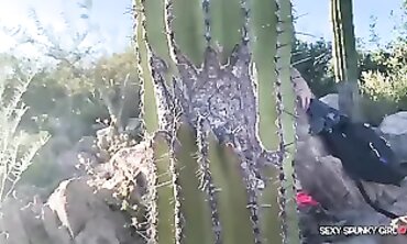 Sneaky Ex-Wifey Catches Stranger Tugging into Park Then Blows His Stiffy