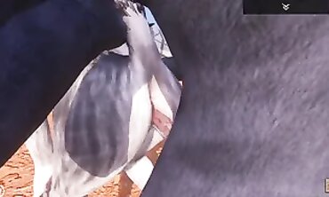 Nasty Life / Unshaved Porno with Bear Jizzed