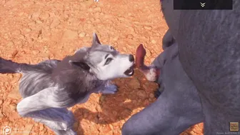 Nasty Life / Unshaved Porno with Bear Jizzed