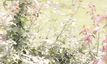Public Masturbation Outdoor Freak Mom Showcases Her Skills in Public