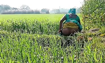 देहाती भौजी को गेहूँ के खेत मे रगड़ के चोदा