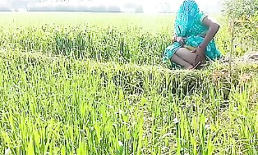 देहाती भौजी को गेहूँ के खेत मे रगड़ के चोदा