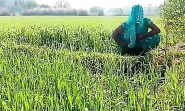 देहाती भौजी को गेहूँ के खेत मे रगड़ के चोदा