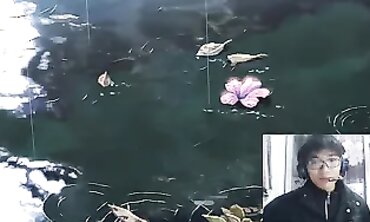沃日，流出的两部NTR真的不应该看剧情，太他娘的扎心了