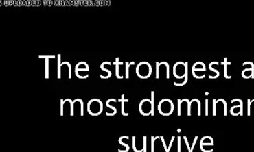 History Milky muff with throat African Fellows ample ebony fuck-stick Cheating Multiracial Life