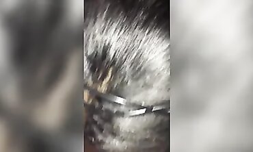 Greatest Baltimore Chisel cockblower