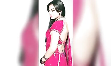 Sonakshi sinha wish romp story