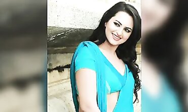 Sonakshi sinha wish romp story