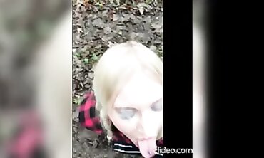 Spent Geysers 2