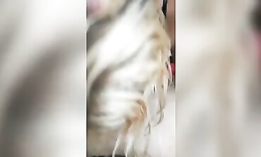 Sex addict Australian cougar Fellates and Railing Young Italian Dude