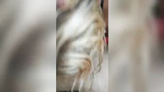 Sex addict Australian cougar Fellates and Railing Young Italian Dude