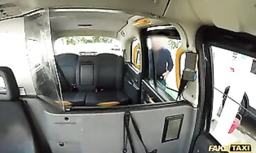 Faketaxi plumbed