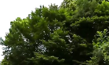 Deutsches Barely legal Pearlin im Garten gefickt