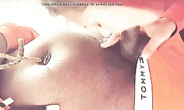 Delicate To Tough Fellatio Lovemaking (sucky-sucky jizzed)