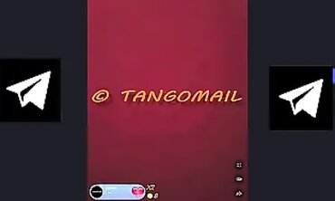TANGO EL 7AYKA (PRI