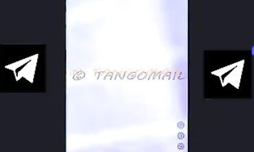 TANGO EL 7AYKA (PRI