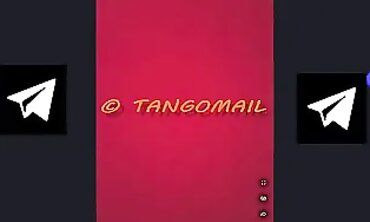 TANGO EL 7AYKA (PRI