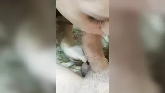 Hot Blonde MILF Gives A Sensual Anal Fuck And Facial