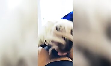 Ebony Teenage Slut Sucks Huge Black Dick in POV until She Chokes